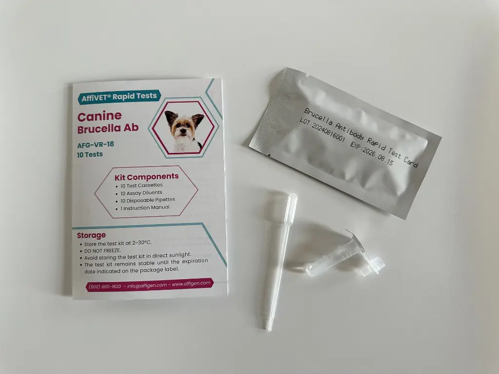 canine-brucella-antibody-test-detection.webp