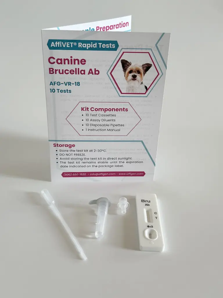 canine-brucella.webp