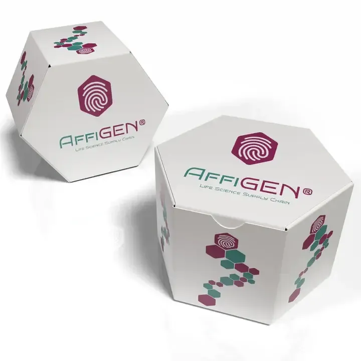 AffiCUSTOM® Visium HD spatial transcriptomics service -2 samples with an 11 × 11 mm capture area, including the complete workflow and data deliver